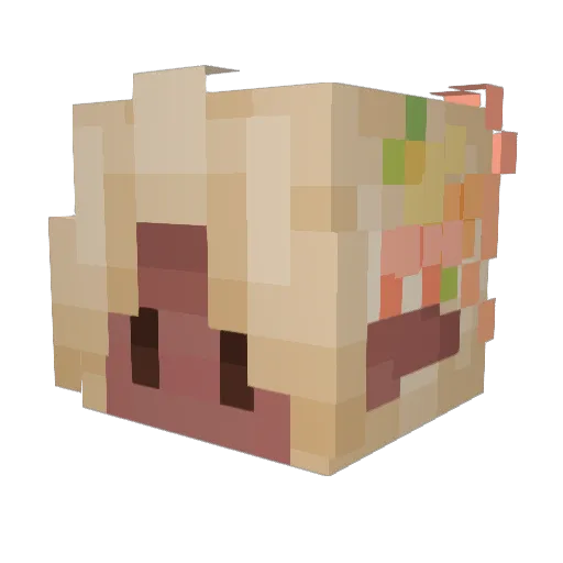 Astroath_ Minecraft avatar head, 3D render