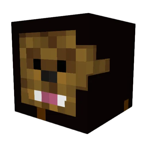 Astrobacca Minecraft avatar head, 3D render