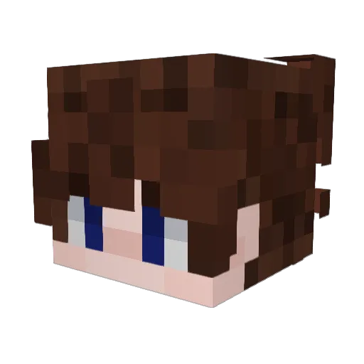Astrocat1143 Minecraft avatar head, 3D render