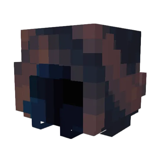 Astroche5 Minecraft avatar head, 3D render