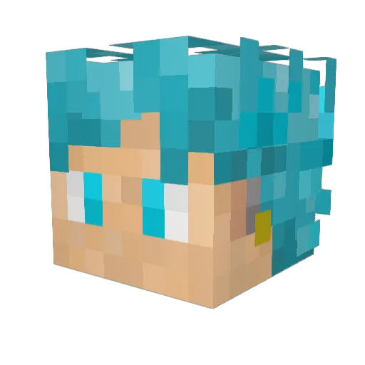 Astrocut Minecraft avatar head, 3D render
