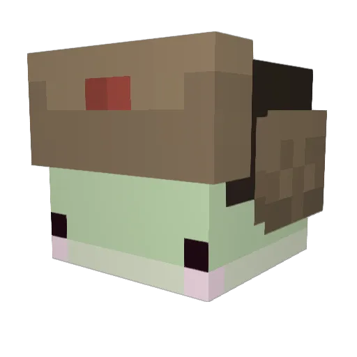 Astroduduck Minecraft avatar head, 3D render