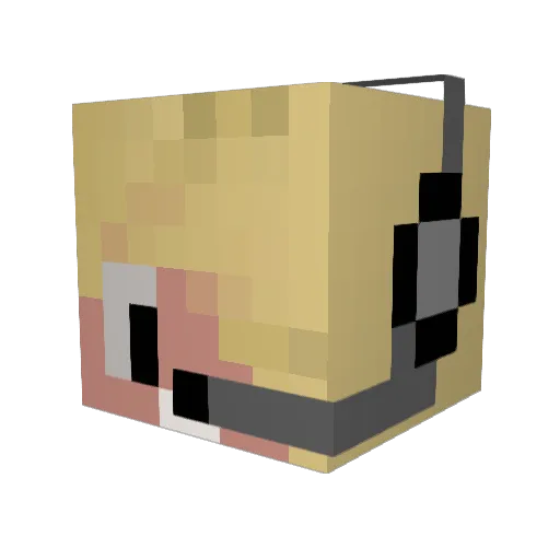 Astroidmania Minecraft avatar head, 3D render