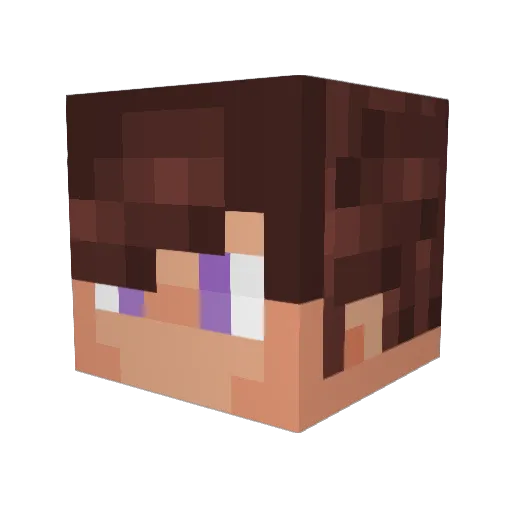 Astrolab35 Minecraft avatar head, 3D render
