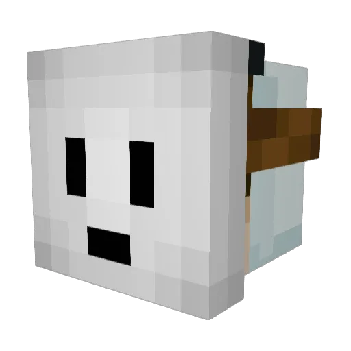 Astrolegends Minecraft avatar head, 3D render