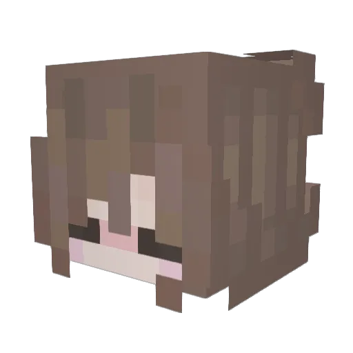 Astromerias Minecraft avatar head, 3D render