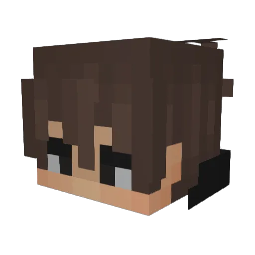 AstronautJaye Minecraft avatar head, 3D render