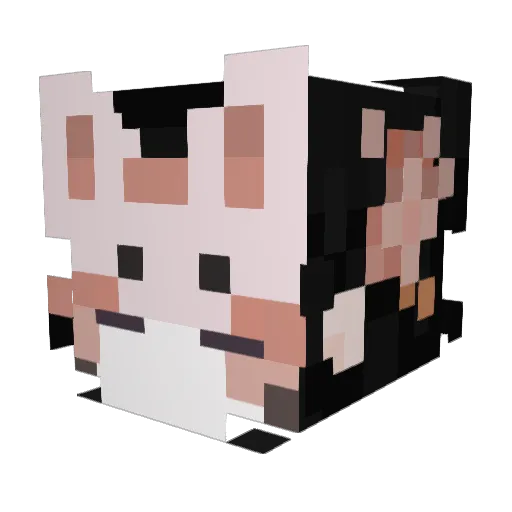 Astronexx Minecraft avatar head, 3D render