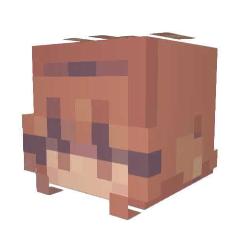 AstronimaOwO Minecraft avatar head, 3D render
