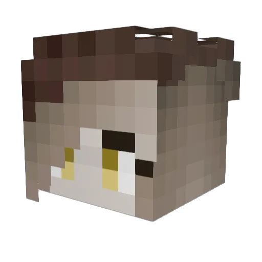 Astronix__ Minecraft avatar head, 3D render