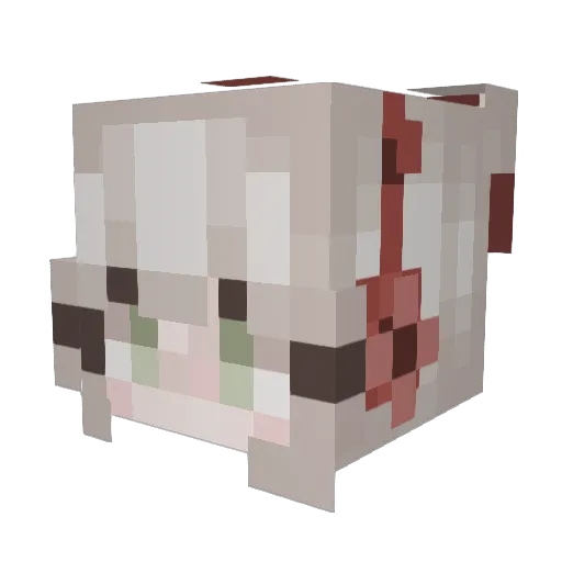 AstronmRrZA Minecraft avatar head, 3D render