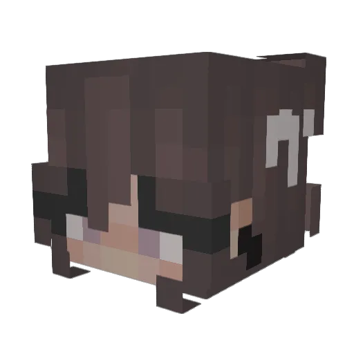 Astronomii Minecraft avatar head, 3D render