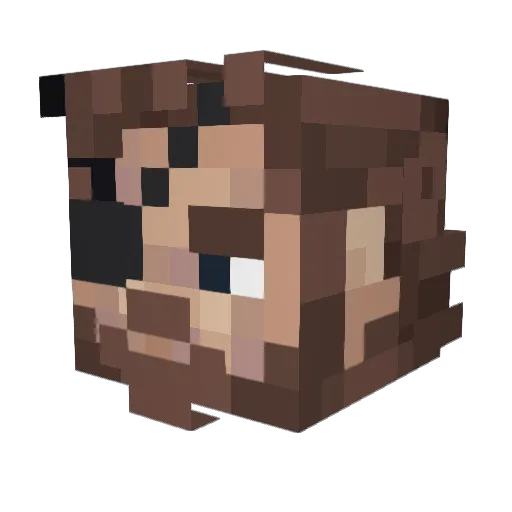 Astronsu Minecraft avatar head, 3D render