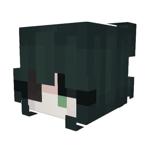 Astrowal Minecraft avatar head, 3D render