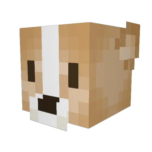 Astru_ Minecraft avatar head, 3D render