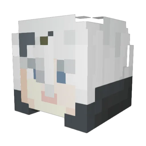 AstrumCrow Minecraft avatar head, 3D render