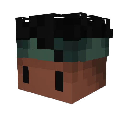 Astryxx Minecraft avatar head, 3D render