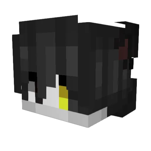 Astuntadienis Minecraft avatar head, 3D render