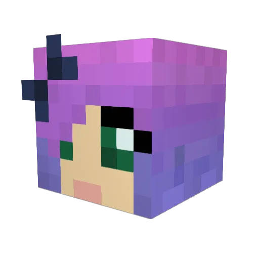 AstuteSage9 Minecraft avatar head, 3D render