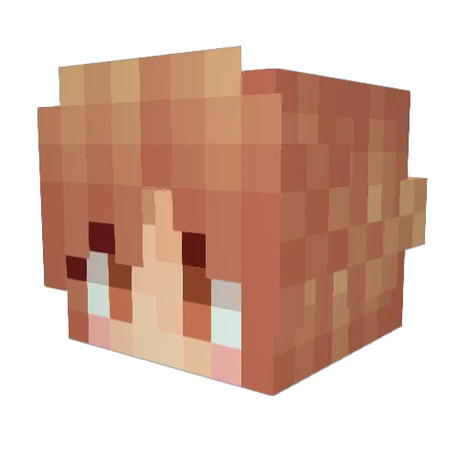 Asuna49312 Minecraft avatar head, 3D render