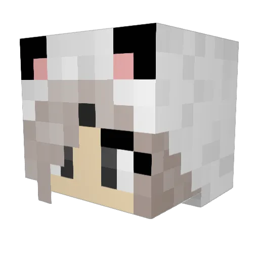 Asunasaii Minecraft avatar head, 3D render