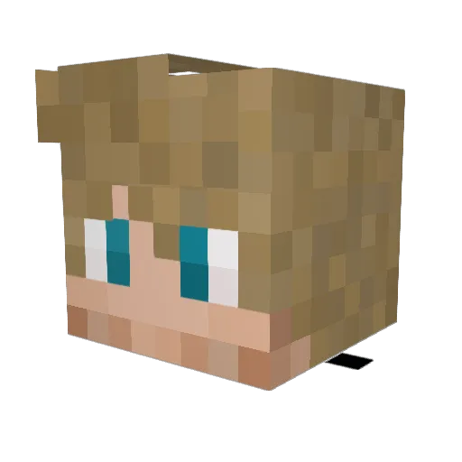 Asvel Minecraft avatar head, 3D render
