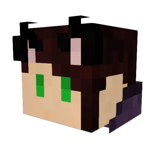 AsylumOfMind Minecraft avatar head, 3D render
