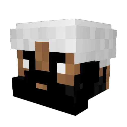 AsylumSeeker12 Minecraft avatar head, 3D render