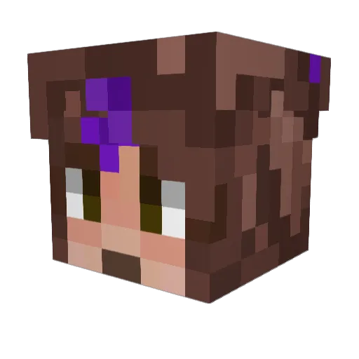 Ataiyx Minecraft avatar head, 3D render