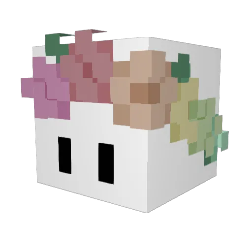 Atakcay Minecraft avatar head, 3D render