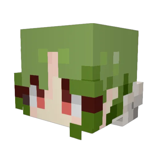 AtamanFurer Minecraft avatar head, 3D render