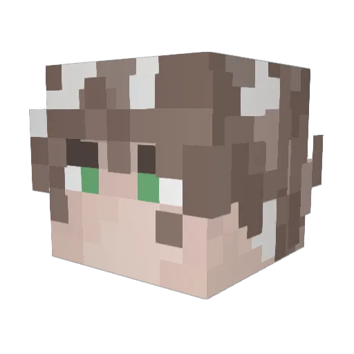 Atari1337 Minecraft avatar head, 3D render