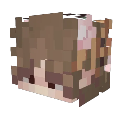 Ateeu Minecraft avatar head, 3D render