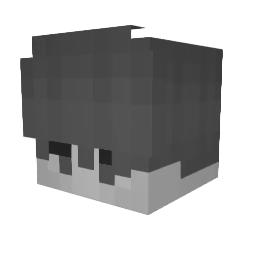 Atemprobleme Minecraft avatar head, 3D render
