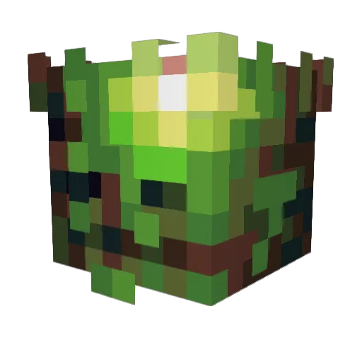 AteshTarsha Minecraft avatar head, 3D render