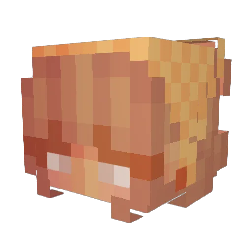 AthanasRose Minecraft avatar head, 3D render