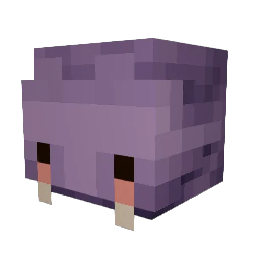 Athanasi Minecraft avatar head, 3D render