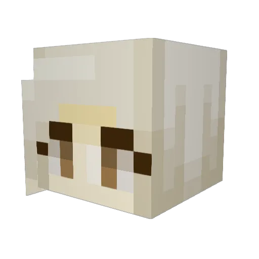 AtheistPanda Minecraft avatar head, 3D render
