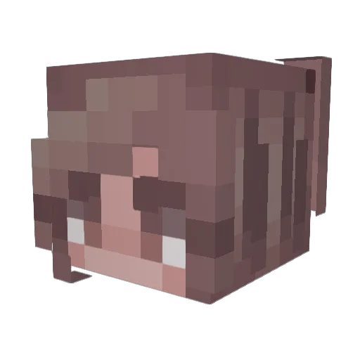 Athena1331 Minecraft avatar head, 3D render