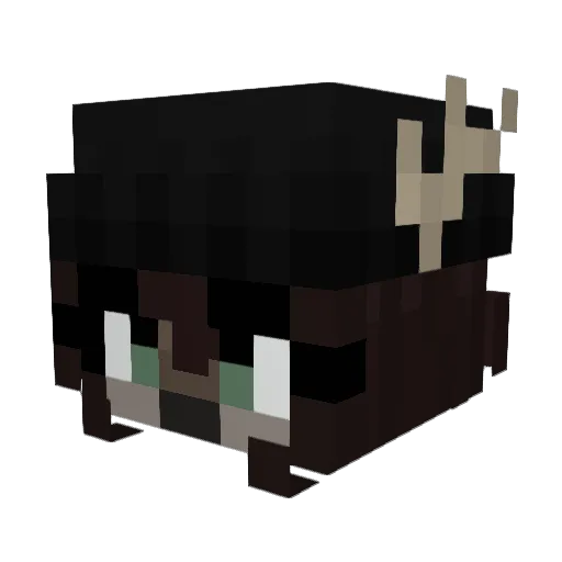 AthenaNepheldra Minecraft avatar head, 3D render