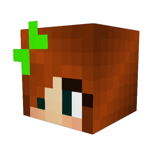 AthenaNighthawk Minecraft avatar head, 3D render