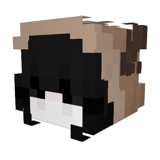 AthleticOtter01 Minecraft avatar head, 3D render