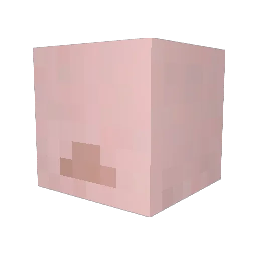 Atlantis22 Minecraft avatar head, 3D render