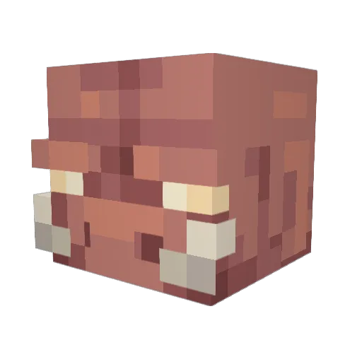 Atlas9038 Minecraft avatar head, 3D render