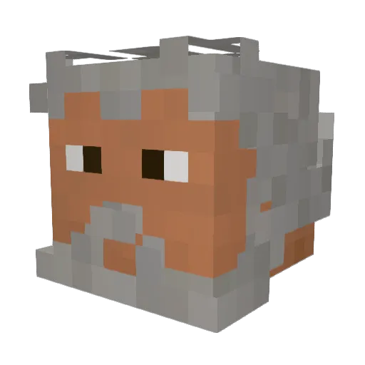 Atlas_VT Minecraft avatar head, 3D render