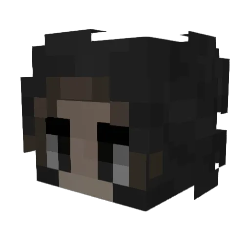 Atlasnofly Minecraft avatar head, 3D render