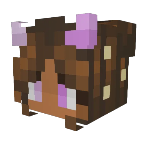 Atlasreef Minecraft avatar head, 3D render