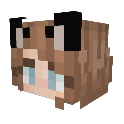 AtoMer Minecraft avatar head, 3D render