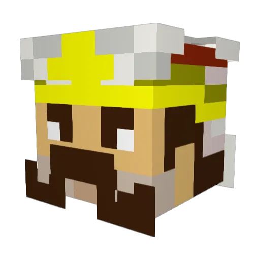 Atohann Minecraft avatar head, 3D render