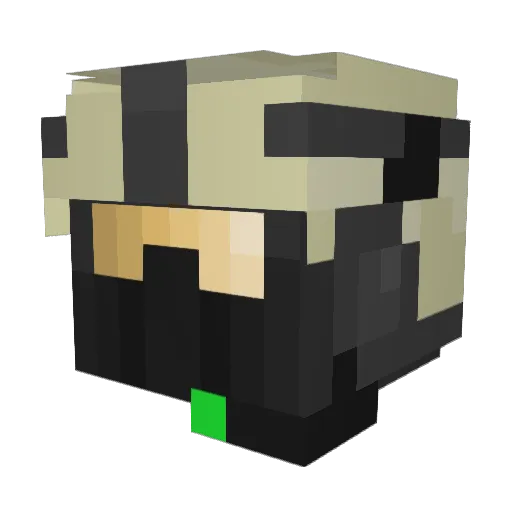 AtollLoup83801 Minecraft avatar head, 3D render